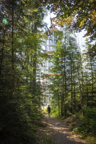 A tall tower surrounded by thick forest along a shady hiking trail, Himmelsglück observation tower with Flying Fox, Schömberg, Black Forest, Germany