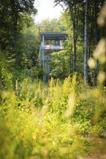 An observation tower in the forest between thick green trees, Himmelsglück observation tower with Flying Fox, Schömberg, Black Forest, Germany