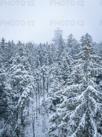 An observation tower juts out of a snow-covered forest, Himmelsglück observation tower with Flying Fox, Schömberg, Black Forest, Germany