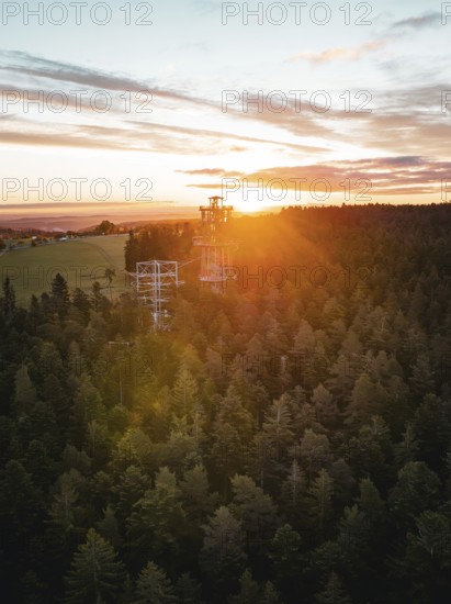 The observation tower rises out of the dense forest at setting sun, Himmelsglück observation tower with Flying Fox, Schömberg, Black Forest, Germany