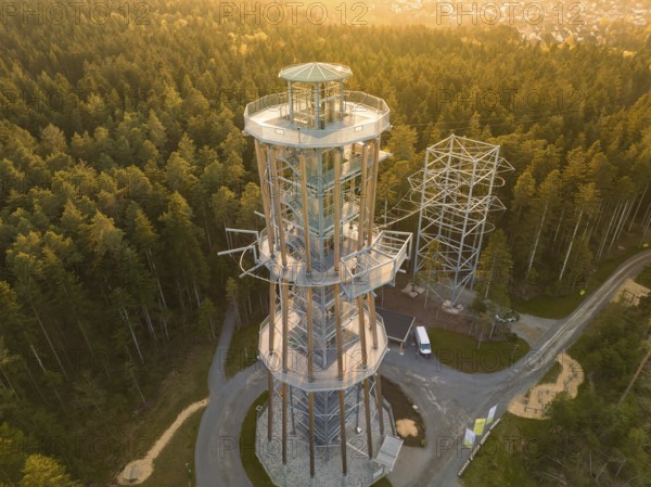 Observation tower in a thick forest with golden light late in the afternoon, Himmelsglück observation tower with flying fox, Schömberg, Black Forest, Germany
