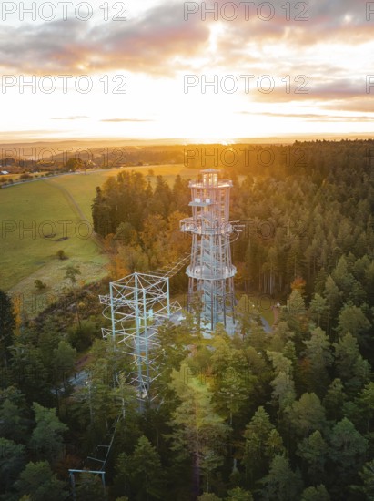 Tower rises above trees early in the morning, Himmelsglück observation tower with Flying Fox, Schömberg, Black Forest, Germany