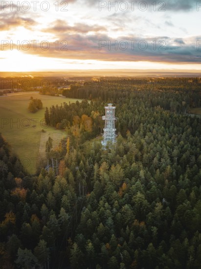 Observation tower in the middle of a dense forest at sunset, Himmelsglück observation tower with Flying Fox, Schömberg, Black Forest, Germany
