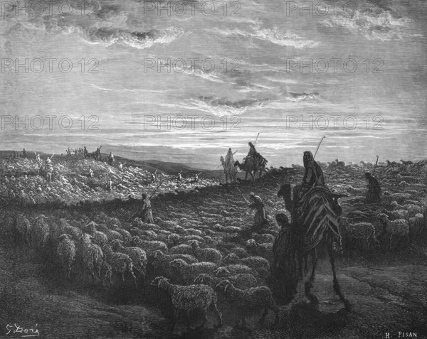 First book of Moses, chapter 12, verse 5, Abraham moves to Canaan, he takes his woman Sarai with him and his brother's son Lot and all belongings, Bible, Old Testament, Genesis, history of creation, law books, sheep, flocks, shepherds, people, camels, historical illustration based on Gustave Doré around 1880