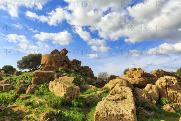 Rubble field, destruction, ruins, temple of Olympian Zeus with display board, Telamon, Cumulus, Valley of the Temples, Agrigento, Sicily, Italy