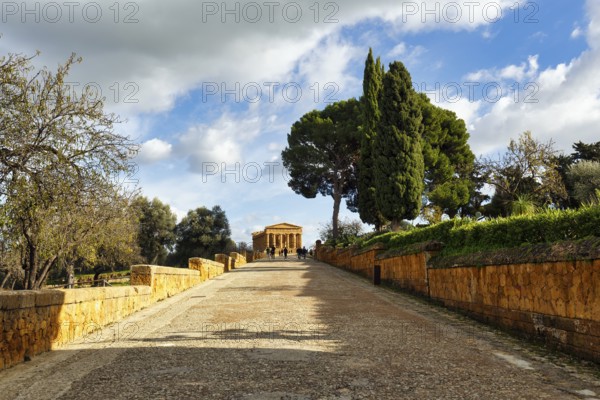 Walkers in front of Concordia Temple, Valley of the Temples, Agrigento, Sicily, Italy