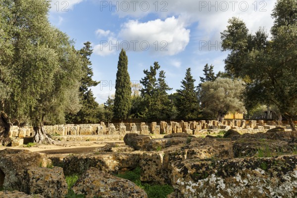 Ruins, Temple of Olympian Zeus, Altar, Valley of the Temples, Agrigento, Sicily, Italy