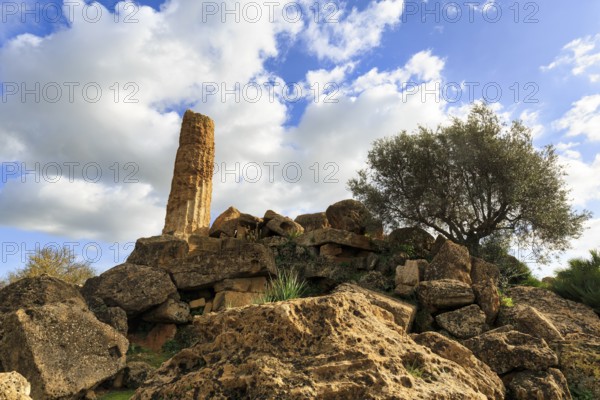 Single column, boulders, olive tree, Temple of Heracles, ruin in the Valley of the Temples, Agrigento, Sicily, Italy