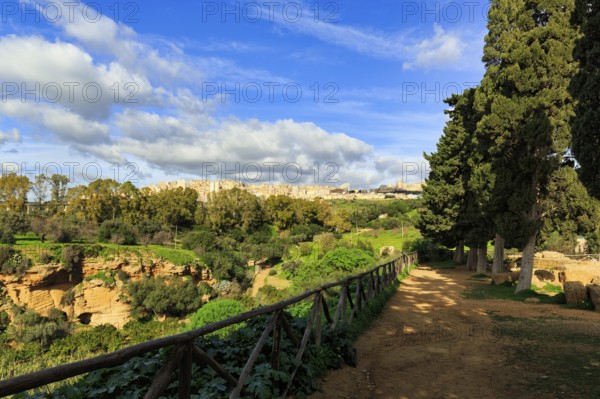 Hiking trail with cypresses, modern city of Agrigento on the horizon, Cumulus, Valley of the Temples, Agrigento, Sicily, Italy