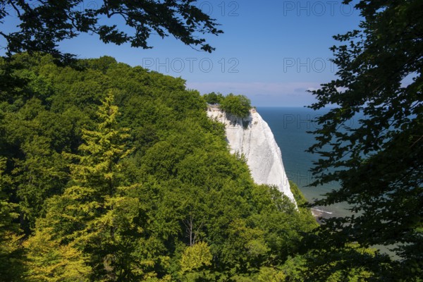 View of chalk cliffs in Jasmund National Park on Rügen, Sassnitz, Rügen, Mecklenburg-Western Pomerania, Germany