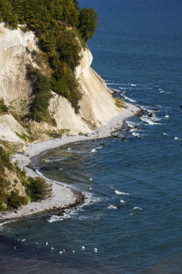 View of chalk cliffs in Jasmund National Park on Rügen, Sassnitz, Rügen, Mecklenburg-Western Pomerania, Germany