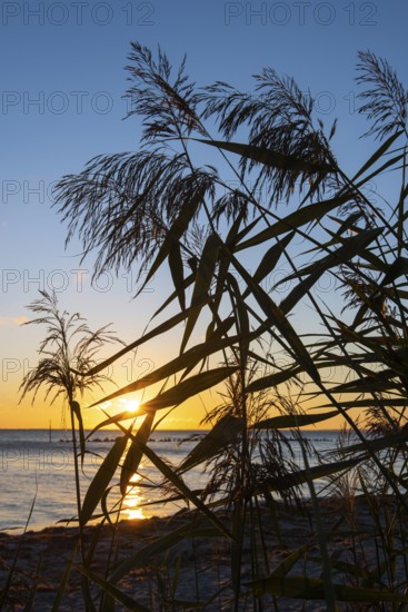 View of chalk cliffs in Jasmund National Park on Rügen, sailboat, Sassnitz, Rügen, Mecklenburg-Western Pomerania, Germany