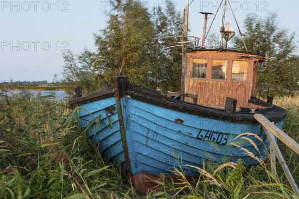 Old boat on the lagoon near Gager on Rügen, Rügen, Gager, Mecklenburg-Western Pomerania, Germany