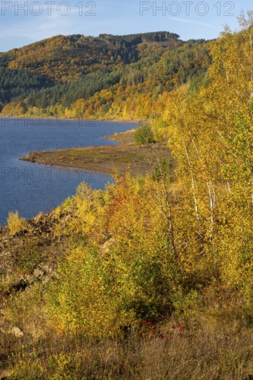 Autumn forest at Innerstestausee in the Harz Mountains, Innerstestausee, Goslar, Lower Saxony, Germany
