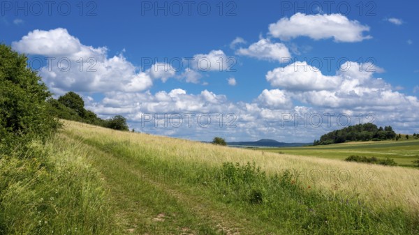 Summer landscape in the Eifel, Blankenheim, North Rhine-Westphalia, Germany