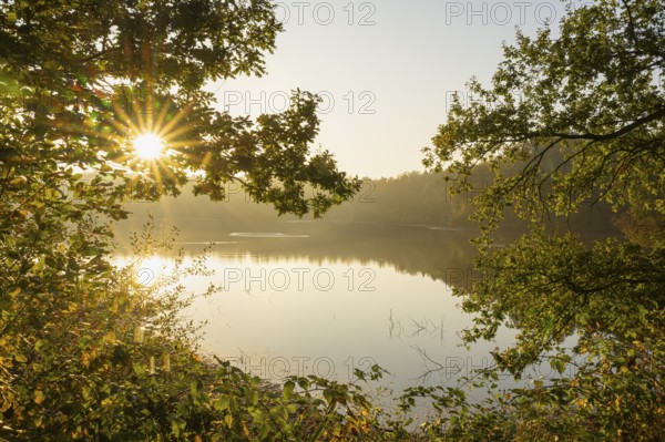 Daybreak at Ahlhorn Fish Ponds, Ahlhorn Fish Ponds, Ahlhorn, Lower Saxony, Germany