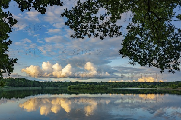 Ahlhorn fishing pond in late summer, Ahlhorn, Lower Saxony, Germany