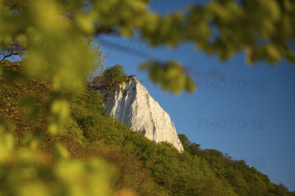 View of chalk cliffs in Jasmund National Park on Rügen, Sassnitz, Rügen, Mecklenburg-Western Pomerania, Germany
