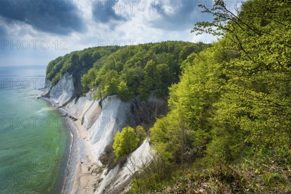 Ernst-Moritz-Arndt view on the chalk coast on Rügen, Rügen, Sassnitz, Mecklenburg-Western Pomerania, Germany