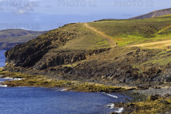 Cliff landscape with green path along the coast and views of the sea, Puerto Calero Lanzarote