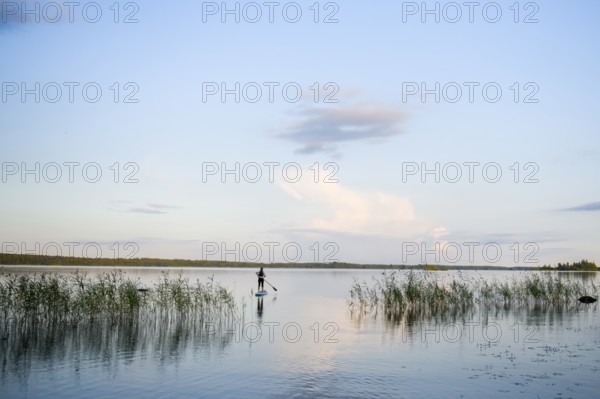Person on a stand-up paddle board between reeds on a calm lake under clear sky with views, Asnen, Kronborgs län, Sweden