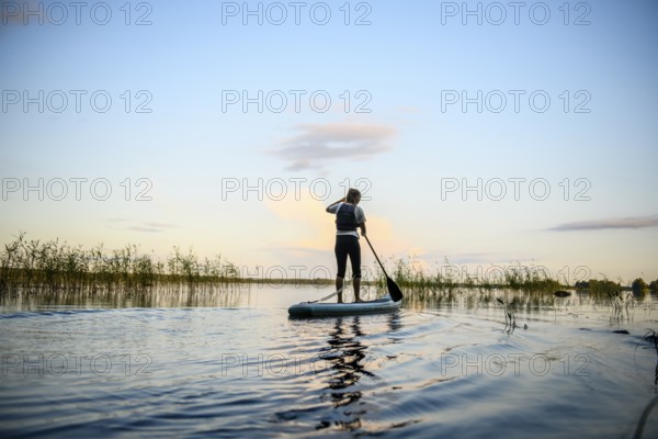Person paddles on a stand-up paddle board at sunset on a lake surrounded by reeds, Asnen, Kronborgs län, Sweden