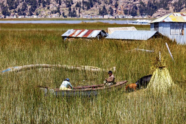 Children in a boat on a vast sea of reeds surrounded by huts in a rural setting, The floating reed islands of the Uros in Lake Titicaca in Peru