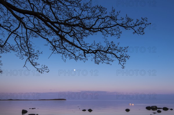 Moonrise on the lagoon on Rügen, Rügen, Glowitz, Mecklenburg-Western Pomerania, Germany