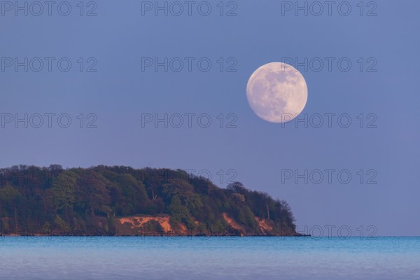 Full moon on the lagoon on Rügen, Rügen, Glowitz, Mecklenburg-Western Pomerania, Germany