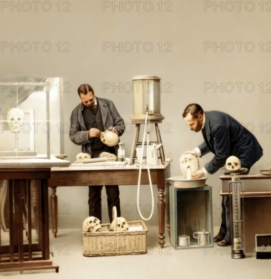 Ascertaining capacity of cranial cavity by means of water, removing putty from skull, 19th century