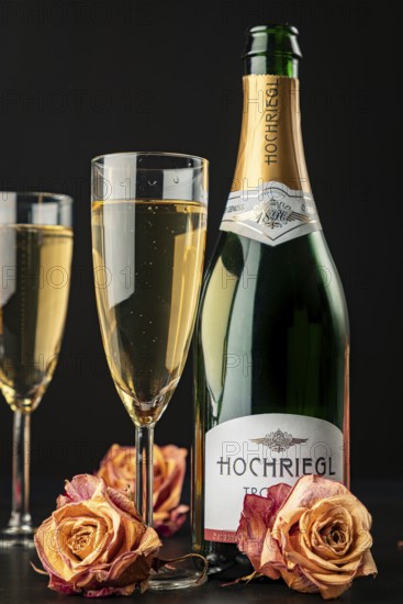Champagne bottle and glasses decorated with dry roses on dark background