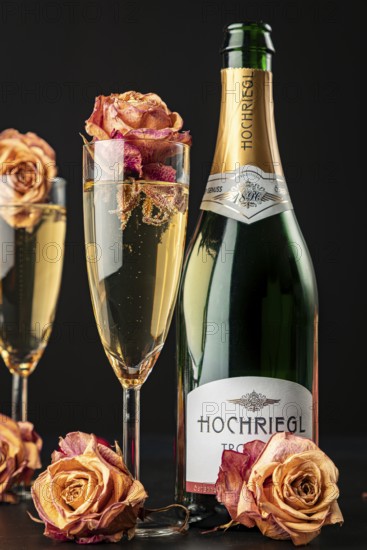 Champagne glasses with rose petals and bottle, festive atmosphere, dark background