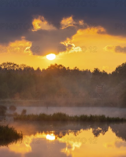 Sunset at Ahlhorn fish ponds, Ahlhorn, Lower Saxony, Germany
