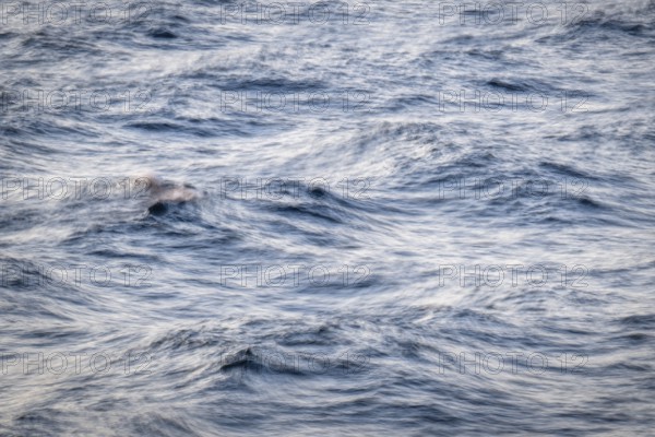 Waves, smudge effect, long exposure, sea, Baltic Sea