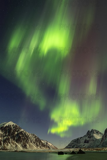Aurora over the mountains and sea of Lofoten, Northern Lights, Northern Lights, Landscape, Leknes, Nordland/Lofoten, Norway