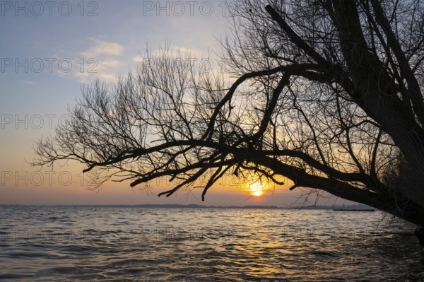 Sunset at Dümmer, Lembruch, Lower Saxony, Germany
