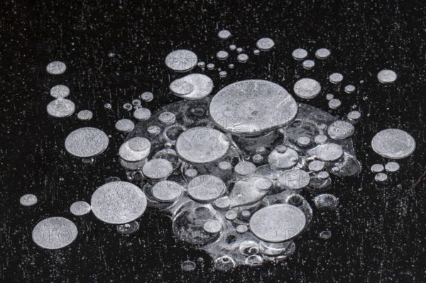 Air pockets in ice, air bubbles, Goldenstedt, Lower Saxony, Germany