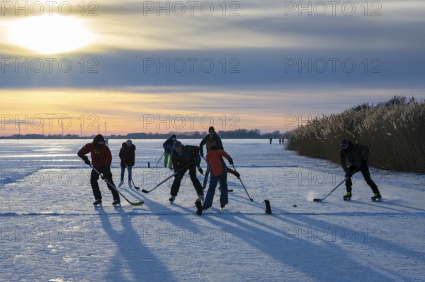 Skating, ice hockey men playing on the frozen Dümmer See, Winter at Dümmer, Eickhöpen, Lembruch, Lower Saxony, Germany