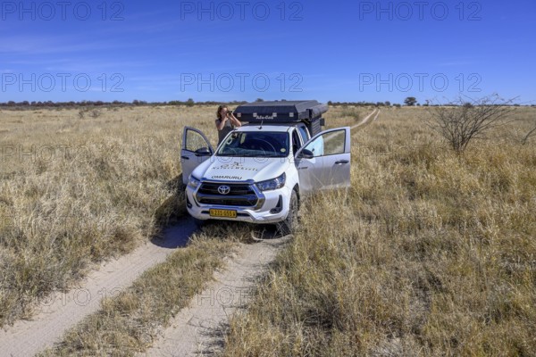 Tourist observes animals through binoculars near the Baines Baobabs, Nxai-Pan National Park, near Gweta, Central District, Botswana