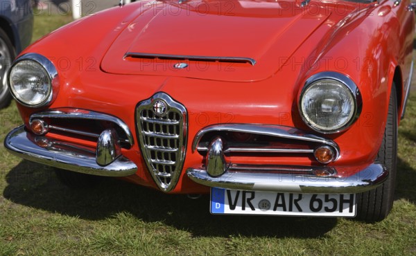 Alfa Romeo Giulia Spider 1965, Giulia Spider, at Oldtimer Exhibition, Prerow, Mecklenburg-Western Pomerania