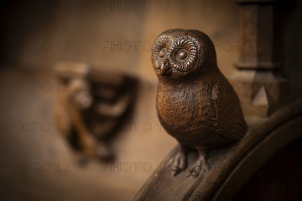 Owl, oak choir stalls for monks' hour prayers, 1493 by Jörg Syrlin the Younger, also Sürlin or Serling, sculptor, completed, choir room, Blaubeuren Abbey, Swabian Jura, Baden-Württemberg, Germany