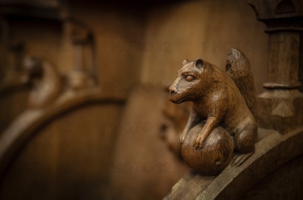 Squirrel with nut, oak choir stalls for monks' hour prayers, 1493 by Jörg Syrlin the Younger, also Sürlin or Serling, sculptor, completed, choir room, Blaubeuren Abbey, Swabian Jura, Baden-Württemberg, Germany