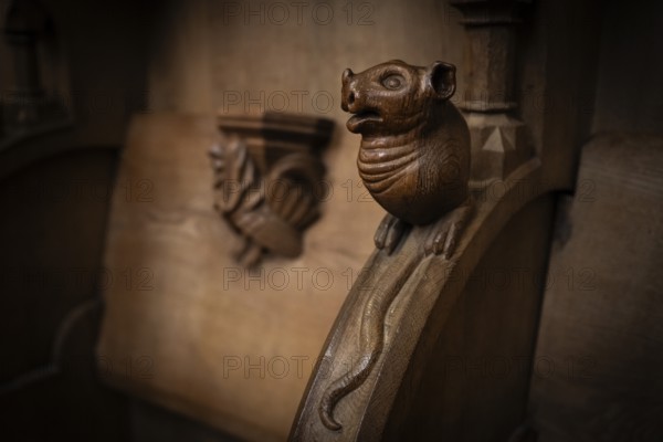 Mouse, oak choir stalls for monks' hour prayers, 1493 by Jörg Syrlin the Younger, also Sürlin or Serling, sculptor, completed, choir room, Blaubeuren Abbey, Swabian Jura, Baden-Württemberg, Germany