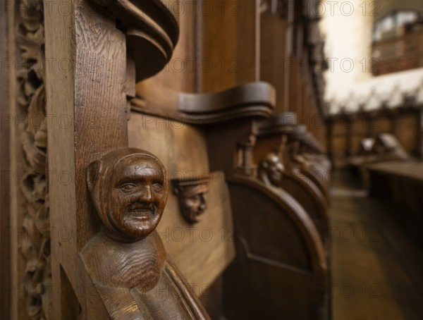 Choir stalls made of oak wood for the monks, 1493 by Jörg Syrlin the Younger, also Sürlin or Serling, sculptor, completed, choir room, Blaubeuren Abbey, Swabian Jura, Baden-Württemberg, Germany