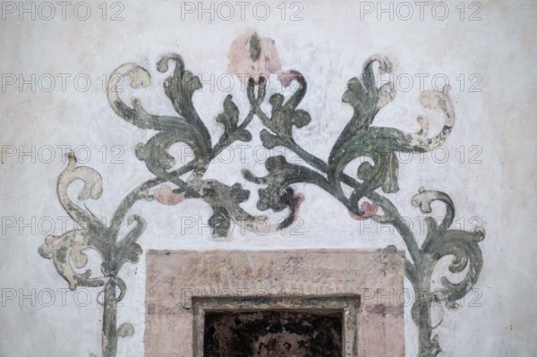 Painted flower tendrils, fresco on whitewashed wall, choir room, Blaubeuren Abbey, Swabian Jura, Baden-Württemberg, Germany