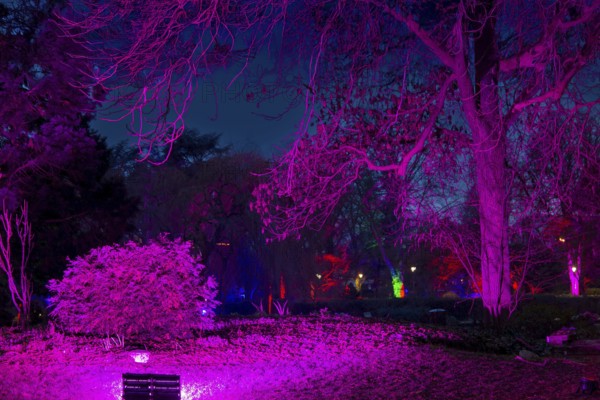 Winter lights in Luisenpark in Mannheim. Every year in January and early February, the park is extensively illuminated at dark