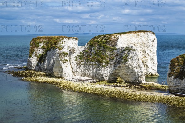 White Cliffs of Old Harry Rocks Jurassic Coast, Handfast Point, Dorset, UK