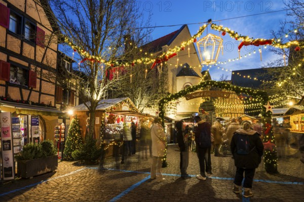 Christmas market, blue hour, Eguisheim, Haut-Rhin, Grand Est Region, Alsace, France