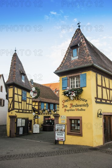 Christmassy decorated houses and alley with half-timbered houses, Christmas market, Eguisheim, Haut-Rhin department, Grand Est region, Alsace, France