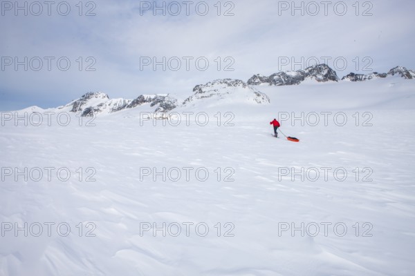A tourist on a winter Arctic expedition skiing along Ikasartivaq Fjord, Sermersooq municipality, north of Ammassalik Island and facing Sermilik, Greenland, North America